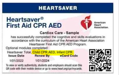 Tips for Selecting Accepted CPR and First Aid Training - The Nevada ...